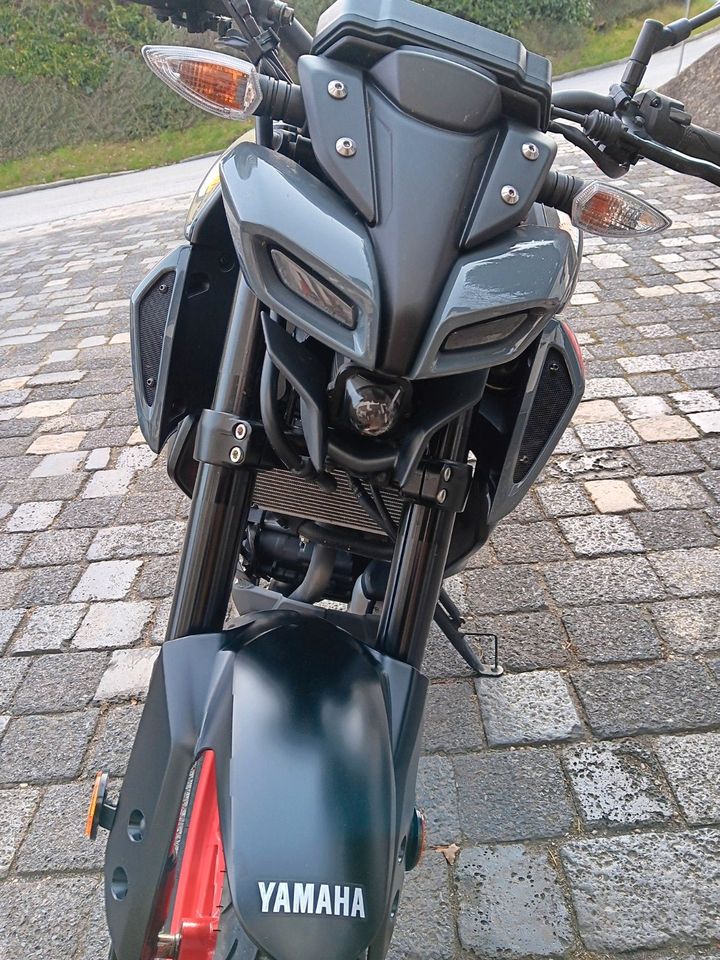 Yamaha MT 125 Motorrad in Fürstenstein