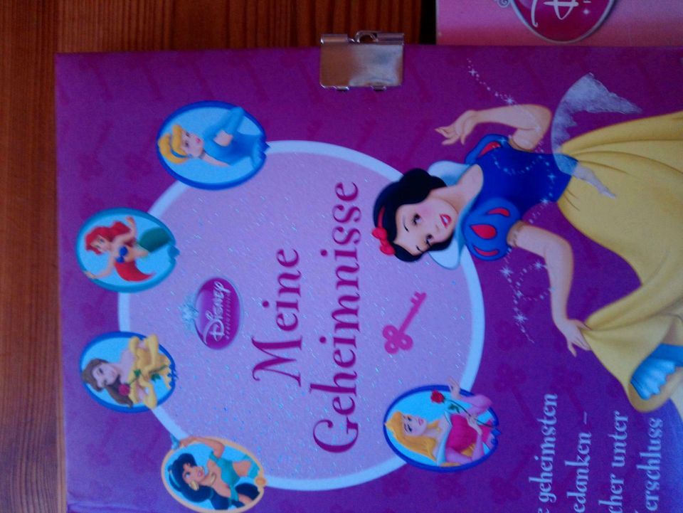 Aufkleber Prinzessin Malbuch Tagebuch CD Rom Barbie Schwanensee in Adelshofen (Oberbayern)