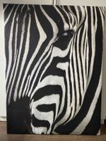 Leinwand 75 x 100 cm mit Zebra Motiv - Bild Wandbild Nordrhein-Westfalen - Kleve Vorschau