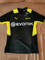 BVB Borussia Dortmund Trainingsshirt Gr M Puma NEU mit Etikett Hessen - Heuchelheim Vorschau