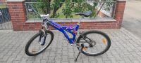 Specialized Downhill Mountainbike 26 Zoll Niedersachsen - Dannenberg (Elbe) Vorschau