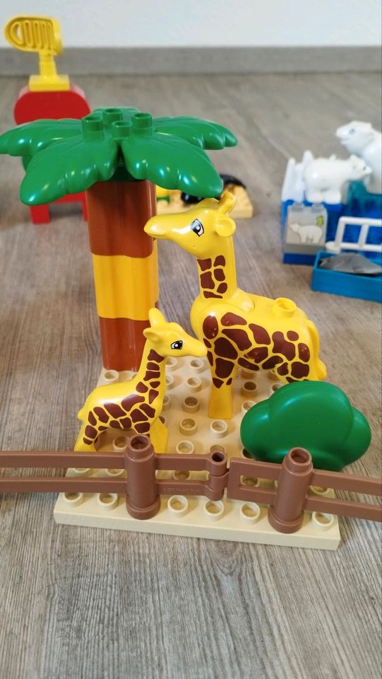 Lego Duplo Mega Set XXL Zoo Tiere Fahrzeuge Feuerwehr Flugzeug in Aalen