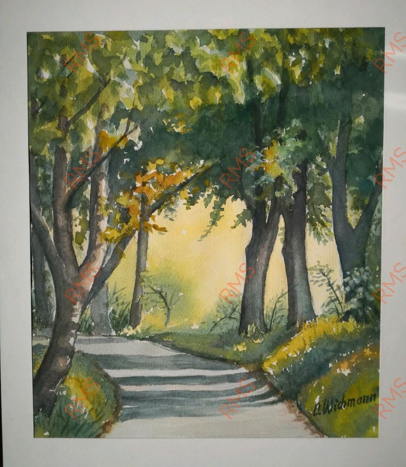 Otto Wichmann 2 Aquarelle Natur grün in Dassel