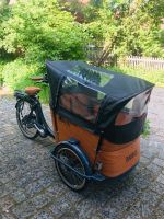 Babboe Curve-E | 50cm | anthrazit braun | 2022  | nur 580 kmStand Bayern - Horgau Vorschau