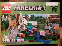 Lego Minecraft 21123 Nordrhein-Westfalen - Bornheim Vorschau