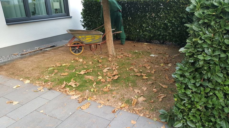 Gartengestaltung und Pflasterarbeiten Kunstrasen in Leer (Ostfriesland)