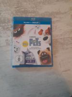 Blu-Ray Pets Essen - Bergerhausen Vorschau