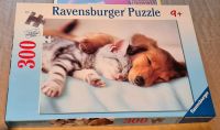 Ravensburger Puzzle Süße Träume Hund Katze 300 Teile ab 9 Jahre Bayern - Röslau Vorschau