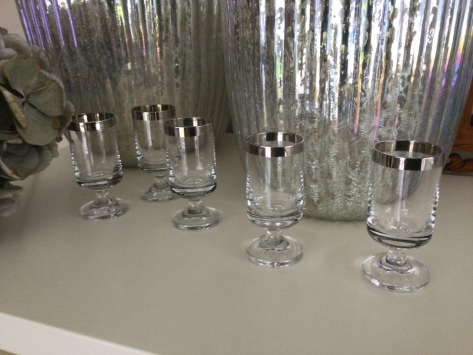 5 alte Shot Gläser Schnapsglas Vodka vintage Platinrand TOP in Gerolsheim