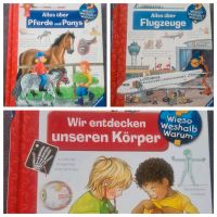 Wieso? Weshalb? Warum? Bücher DIN A4/ Pferde - Flugzeuge - Körper Nordrhein-Westfalen - Ratingen Vorschau