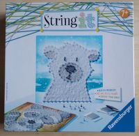 String it Eisbär Waschbär-cute animals- von Ravensburger kreativ Niedersachsen - Weyhe Vorschau