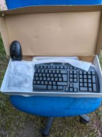 Logitech Maus und Tastatur Neu Saarland - Dillingen (Saar) Vorschau