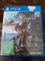 PS4 Spiel  *Monster hunter world* Bayern - Kolbermoor Vorschau