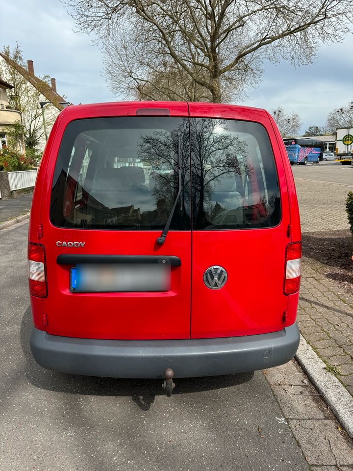 VW Caddy BJ 2008 TÜV 1/25 252T km ⭐️ Scheckheft & Winterreifen ⭐️ in Landau in der Pfalz