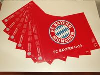 FC Bayern U-19 Fan Fächer 6 Stück FCB München Fußball Jugend Bayern - Forstinning Vorschau