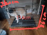 Hundebox zu verkaufen! Nordrhein-Westfalen - Eslohe Vorschau