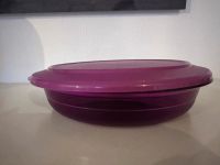 Tupperware Eleganzia flache Schale lila Nordrhein-Westfalen - Bocholt Vorschau