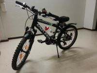 Kinder Fahrrad 20 Zoll Sachsen - Chemnitz Vorschau