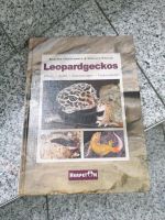 Leopardgecko Buch neuwertig Nordrhein-Westfalen - Lotte Vorschau