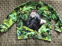 Molo Sweatshirt Gorilla Gr. 128 NEUWERTIG Eimsbüttel - Hamburg Eimsbüttel (Stadtteil) Vorschau