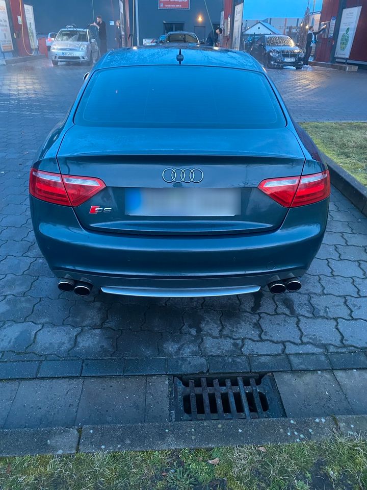 Audi S5 V8 Schalter (Facelift) in Verden
