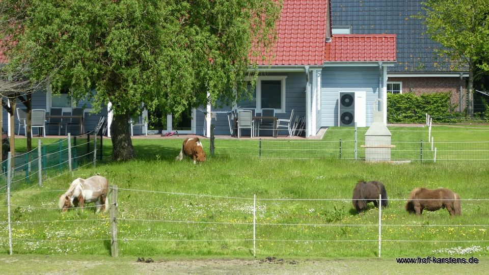 Ferienwohnung Nordsee nähe Büsum Schleswig Holstein in Elpersbüttel