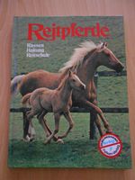 Reitpferde Rassen Haltung Reitschule / Falken-Verlag / Pferd Hessen - Ebsdorfergrund Vorschau