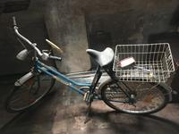 DDR Damen-Fahrrad IFA-Diamant Sachsen - Treuen Vorschau