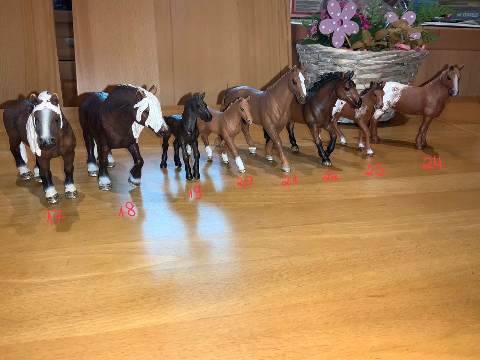 Schleich 17-24, Pferde, Ponys, Fohlen ab 3 € - prima Zustand in Neunkirchen am Sand