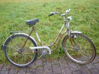 fahrrad damenrad rücktrittbremse Bauer vintage singlegang 26zoll Hessen - Rimbach Vorschau