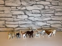 Schleich Hunde Hessen - Witzenhausen Vorschau