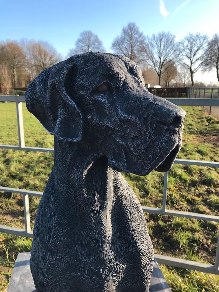 Dogge 106cm 200kg Steinguss deutsche Dogue dänische Dogo Hatzrüde in Schönefeld