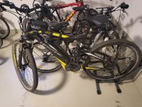 Haibike Sduro SL Rahmengröße 55 29 Zoll Baden-Württemberg - Filderstadt Vorschau