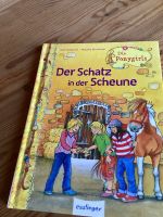 der Schatz in der Scheune Buch Niedersachsen - Elze Vorschau