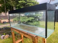 Aquarium Terrarium 120cm lang 100%dicht Baden-Württemberg - Aldingen Vorschau