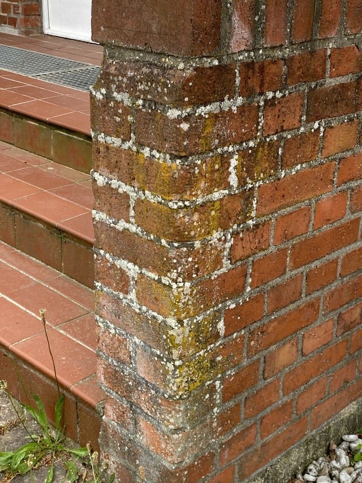 Pflasterreinigung Steinreinigung Terrassen Reinigung in Lüdershagen