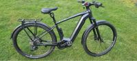 Focus e bike Niedersachsen - Nortrup Vorschau