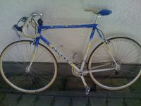 Rennrad Retro Vintage Peugeot Festina Team super  zustand Bayern - Geltendorf Vorschau