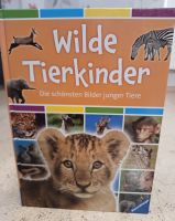 Wilde Tierkinder – Die schönsten Bilder junger Tiere / Buch Baden-Württemberg - Ammerbuch Vorschau