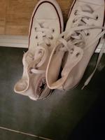 Converse schuhe Thüringen - Sömmerda Vorschau