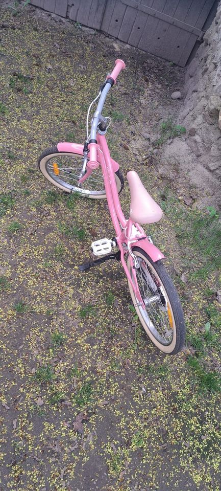 Kinder Fahrrad pink in Burg Stargard
