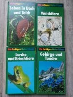 Die farbigen Naturführer Tiere Pflanzen Steine Biologie Baden-Württemberg - Mötzingen Vorschau