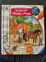 tiptoi Buch Pferde und Ponys Brandenburg - Heidesee Vorschau