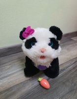 Für RealFrends Panda Pom Pom Hasbro interaktiv Ostern Bayern - Straubing Vorschau