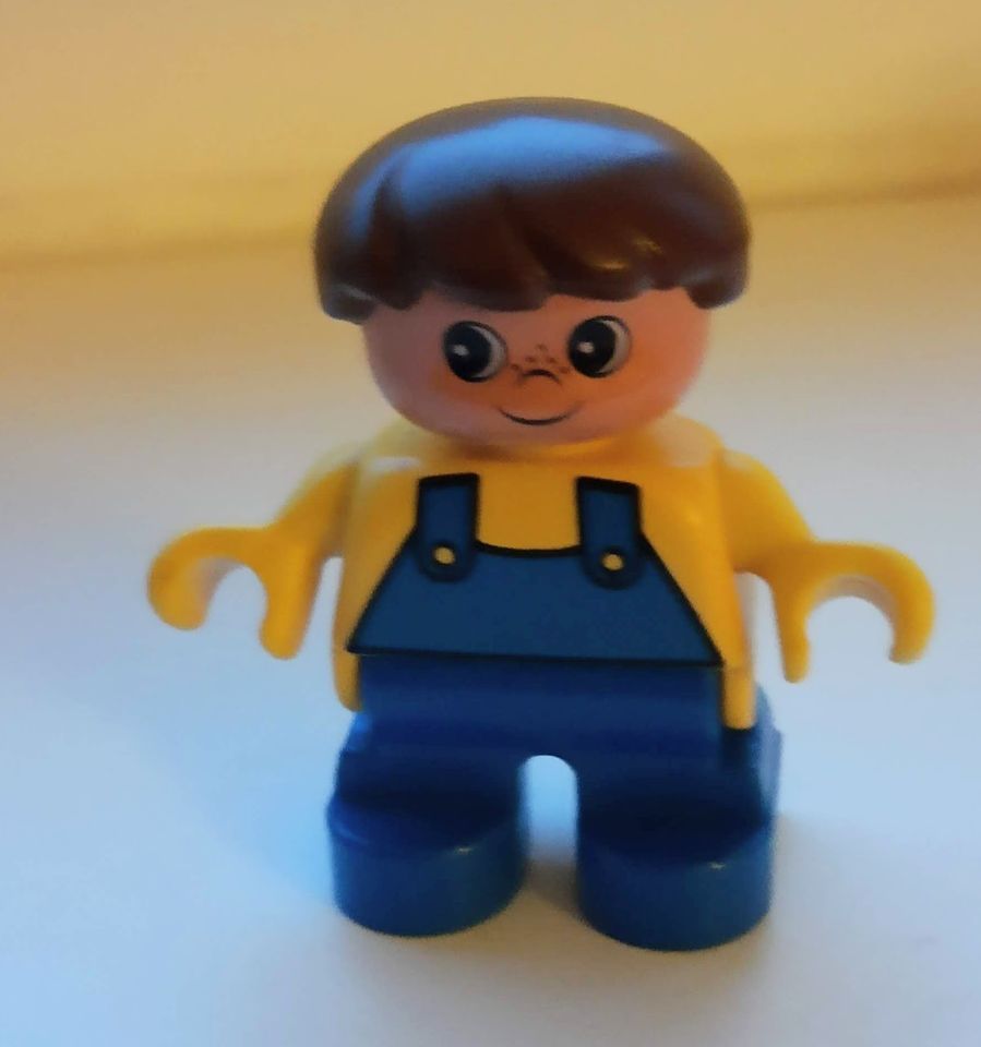 Lego Duplo Figuren in Barsbüttel