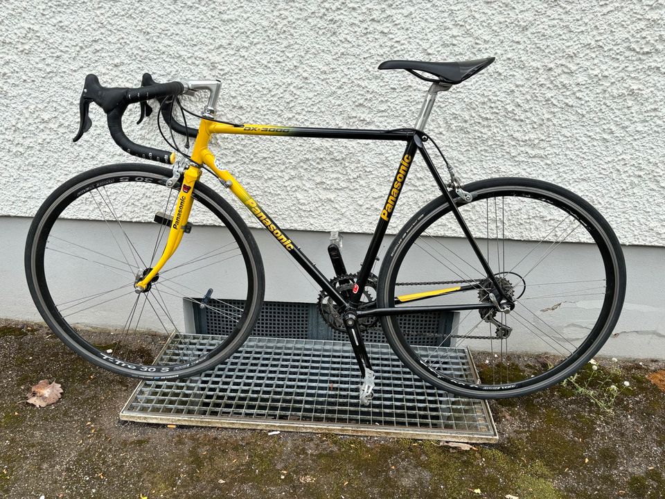 Rennrad Panasonic DX3000 RH 54 cm mit Campagnolo 2X10 Fach in Regensburg