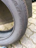 2 Sommerreifen Nissan Quasqai 215/60R17 96H Schleswig-Holstein - Krempel Vorschau