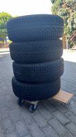 Winterräder 205/60 R16 krisale HP2 92H M+S Radial mit Stahlfelge Blumenholz - Usadel Vorschau