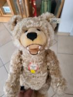 Steiff original teddy baby 1929 mit Knopf im Ohr Nordrhein-Westfalen - Versmold Vorschau