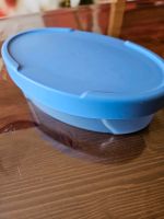 Tupperware Vorratsbehälter Hessen - Korbach Vorschau